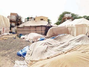 صورة من الارشيف