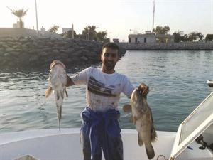 هوامير وبواليل يعطيك العافية﻿