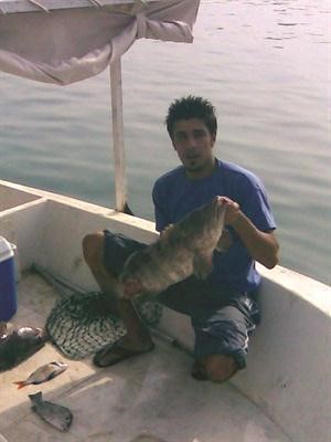  واحلى هامور﻿