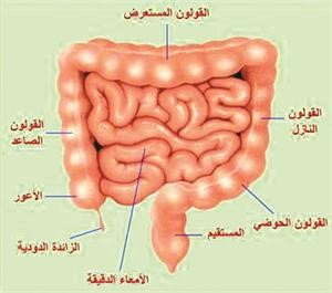 يمكن تشخيص امراض القولون بالمنظار الافتراضي
