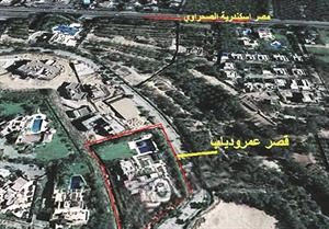 صورة للقصر من الاعلى﻿