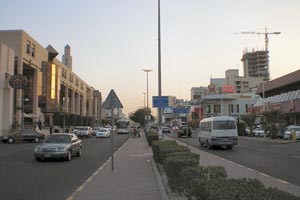 منطقة السالمية