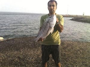 مجيد بلوشي مع سبيطي الاسياف﻿