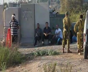 فيديو .. معتقل من رام الله يؤدي صلاة العصر وهو معصب العينين ومقيد اليدين