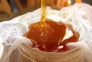 العسل اليمني الشهير يواجه خطر الغش