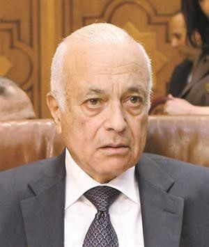 نبيل العربي﻿