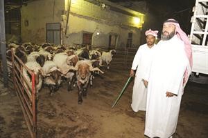 مناور الواوان يشير الى ان الاسعار ستكون في متناول الجميع
