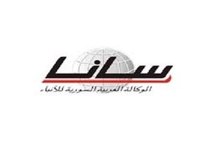 هجوم إلكتروني على موقع وكالة الأنباء السورية
