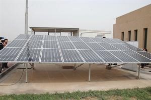 الالواح الكهروضوئية في المحطة التجريبية
