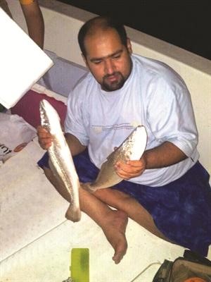 نويبية عجيبة

