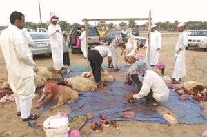 الطبطبائي: صلاة العيد سنة مؤكدة صلاها النبي صلى الله عليه وسلم بلا أذان ولا إقامة
