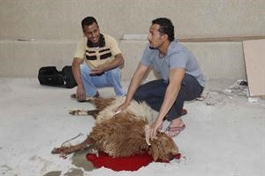 ذبح بجهود ذاتية
