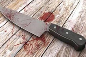 مربية تقتل طفلين طعناَ بنيويورك