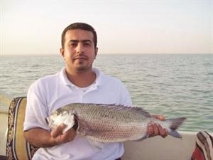وهذا سبيطي غرامي
