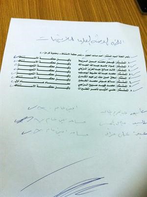اسماء رئيس واعضاء اللجنة الوطنية العليا للانتخابات
