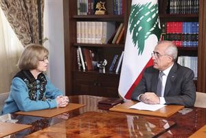 الرئيس ميشال سليمان لدى استقباله مساعدة وزيرة الخارجية الاميركية اليزابث جونز رويترز 