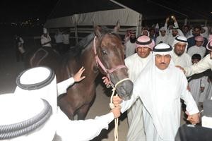 الخيل تهدى لمسلم البراك﻿