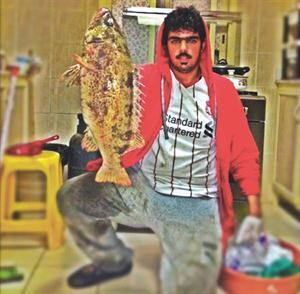 خوش هامور﻿
