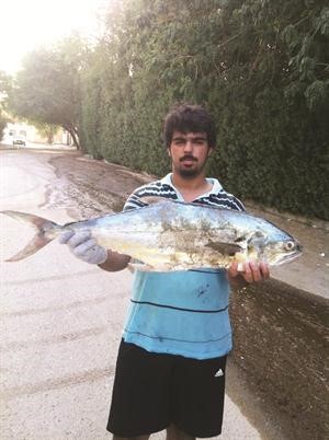 ضلعة الجنوب غير شكل﻿