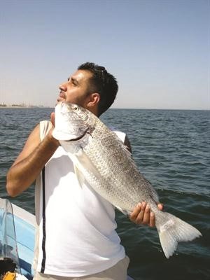 خوش سبيطي﻿
