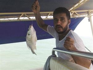 شعم الشمال غير شكل دائما﻿
