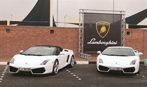 لامبورغيني جالاردو تتالق بطرازيها LP550-2 و LP560-4 قاسم باشا