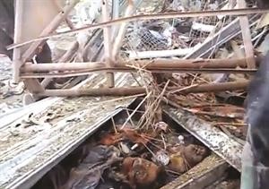 صورة ماخوذة عن فيديو بثه ناشطون لمحاولة استخراج الجثث والجرحى من تحت الانقاض نتيجة احدى الغارات على راس العين