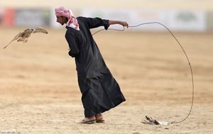 بالفيديو.. اختتام مهرجان أبوظبي للصيد بالصقور