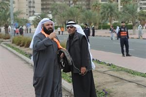 دوليد الطبطبائي مشاركا
