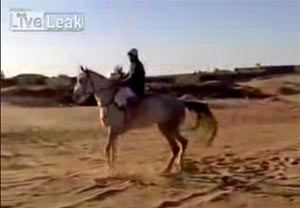 بالفيديو.. سقط من على الحصان وسقط صديقه من على السيارة