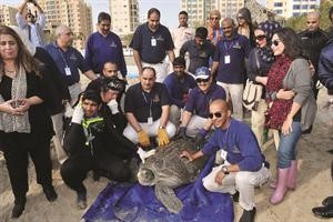 ممجبل المطوع وعدد من موظفي المركز ومجموعة من الصحافيين خلال اطلاق السلاحف﻿