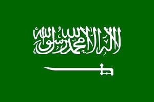 السعودية تسعى لتطبيق قانون «من أين لك هذا؟»