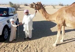 العامل مع الناقة المهداة﻿
