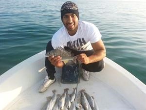 شعم ونويبي﻿