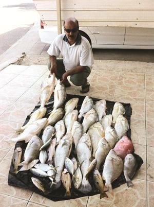النوخذة العود مع الصيد المتنوع﻿
