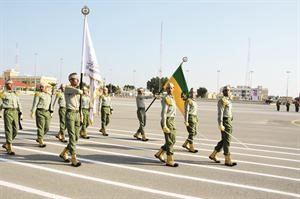 طابور عرض الخريجين الجدد
