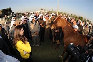 رئيس مجلس الامة وسمو رئيس الوزراء والنواب والوزراء يطلعون على الخيل في مزرعة الفيصل هاني الشمري
