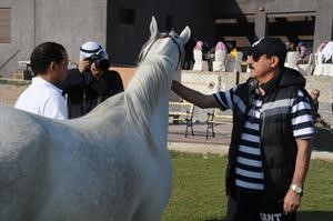عبدالله المعيوف معجبا بالخيل في مزرعة الفيصل
