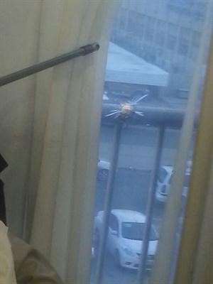 اثار الطلقة الطائشة على الزجاج اسامة ابو عطية