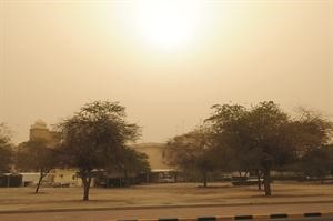 عاصفة ترابية﻿