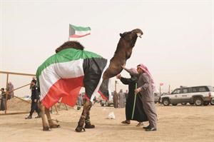 احدى الناقات المشاركة في المهرجان
