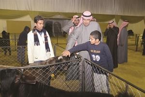 ومسابقة الاغنام﻿