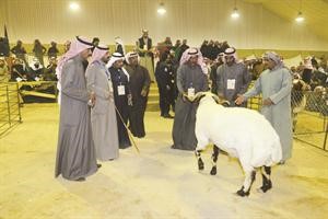من مسابقات النعيمي﻿