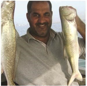 العب بالحلال