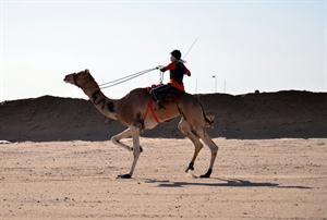 مشارك في الماراثون﻿