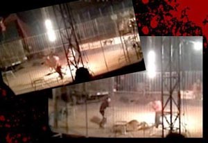 بالفيديو.. نمر يمزق جسد مدربه ويرديه قتيلاً خلال عرض سيرك بالمكسيك