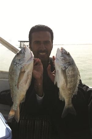 شعوم خيال 
