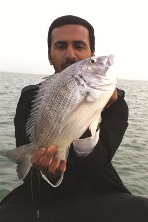 بصراحةخوش شعم 