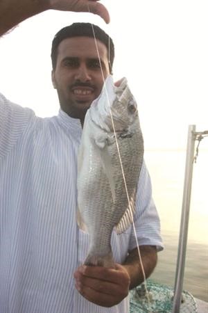 واحلى مزيزي