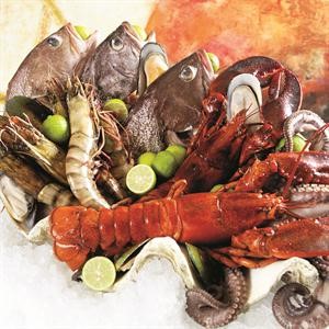 «تراس غريل» يقدم عرض «شهر المأكولات البحرية»